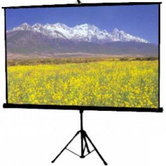 Màn chiếu 3 chân 120 inch